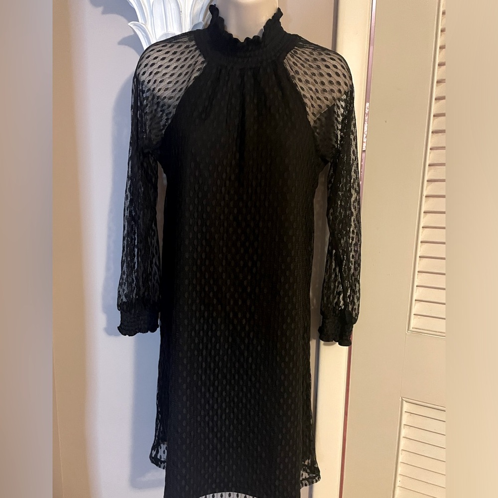 Nina Leonard Black Dress with Sheer Long‎ Sleeves